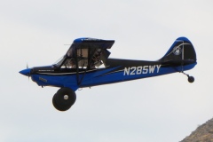 Husky_2
