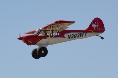 Husky_9