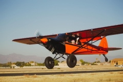 santa_cub